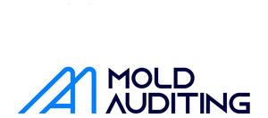 Moldauditing